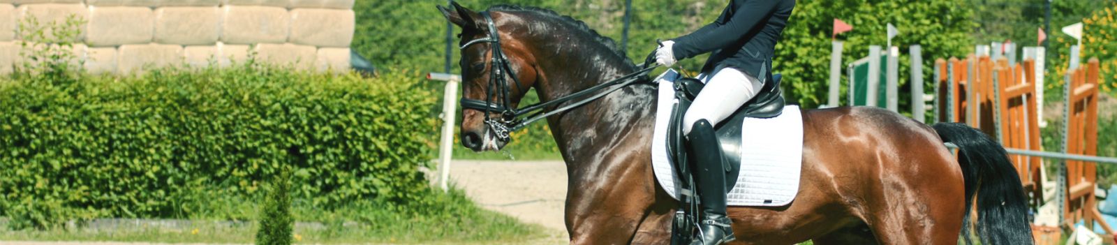 Kategoriebild der Kategorie “Pferdesport”