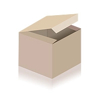 Artikelbild des Artikels “Gabionenpfosten Typ 4 feuerverzinkt | 2430 | Zum Einbetonieren“
